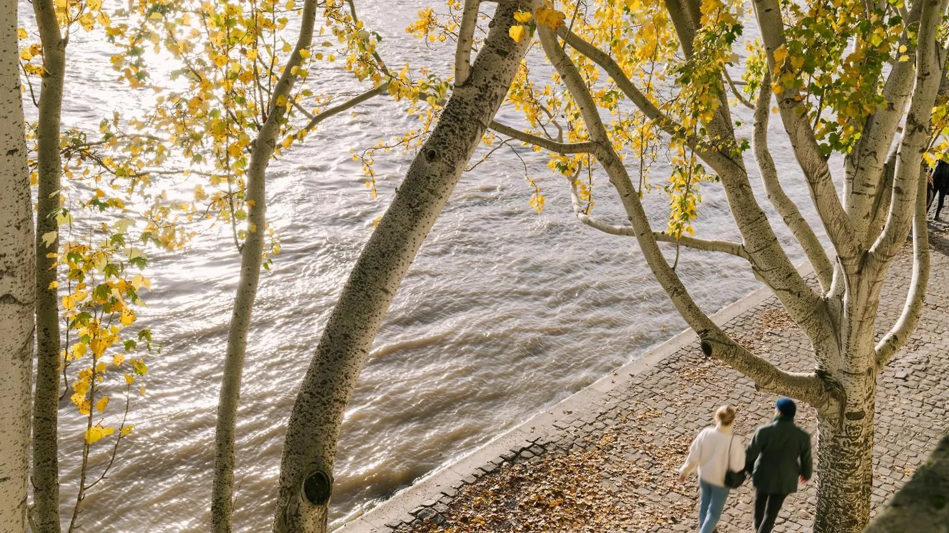 Atala Powered By Sonder Paris